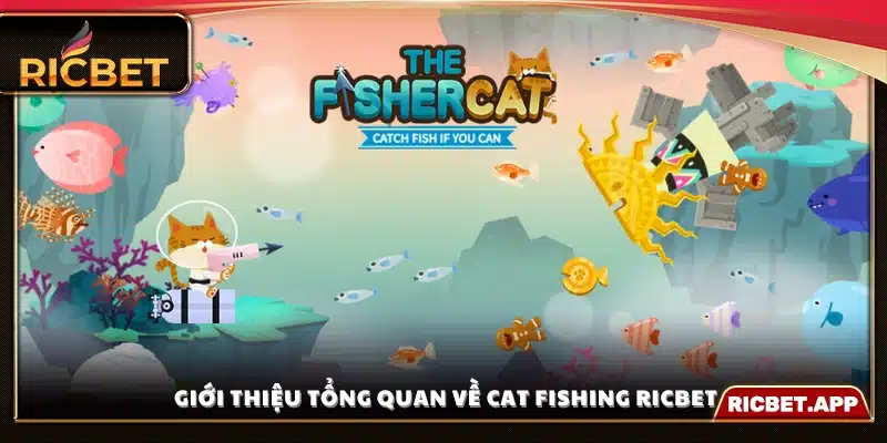 Sơ lược về game Cat Fishing Ric Bbet