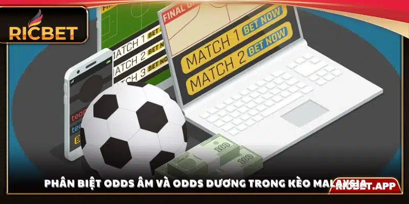 Cách nhận biết sự khác nhau giữa tỷ lệ âm và dương 