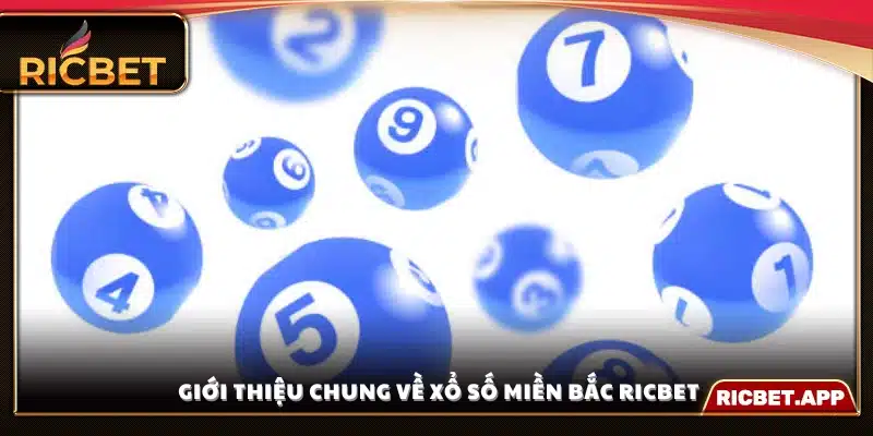Tổng quan về hình thức xổ số miền Bắc tại Ricbet